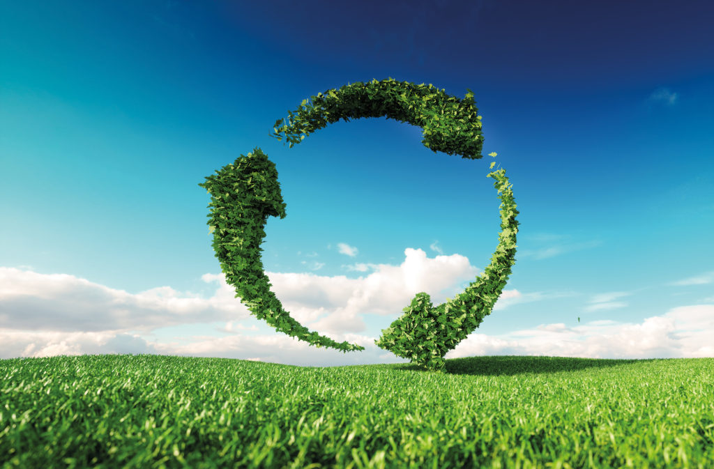 Büroring Umwelt Bueroring Umwelt und Verantwortung
